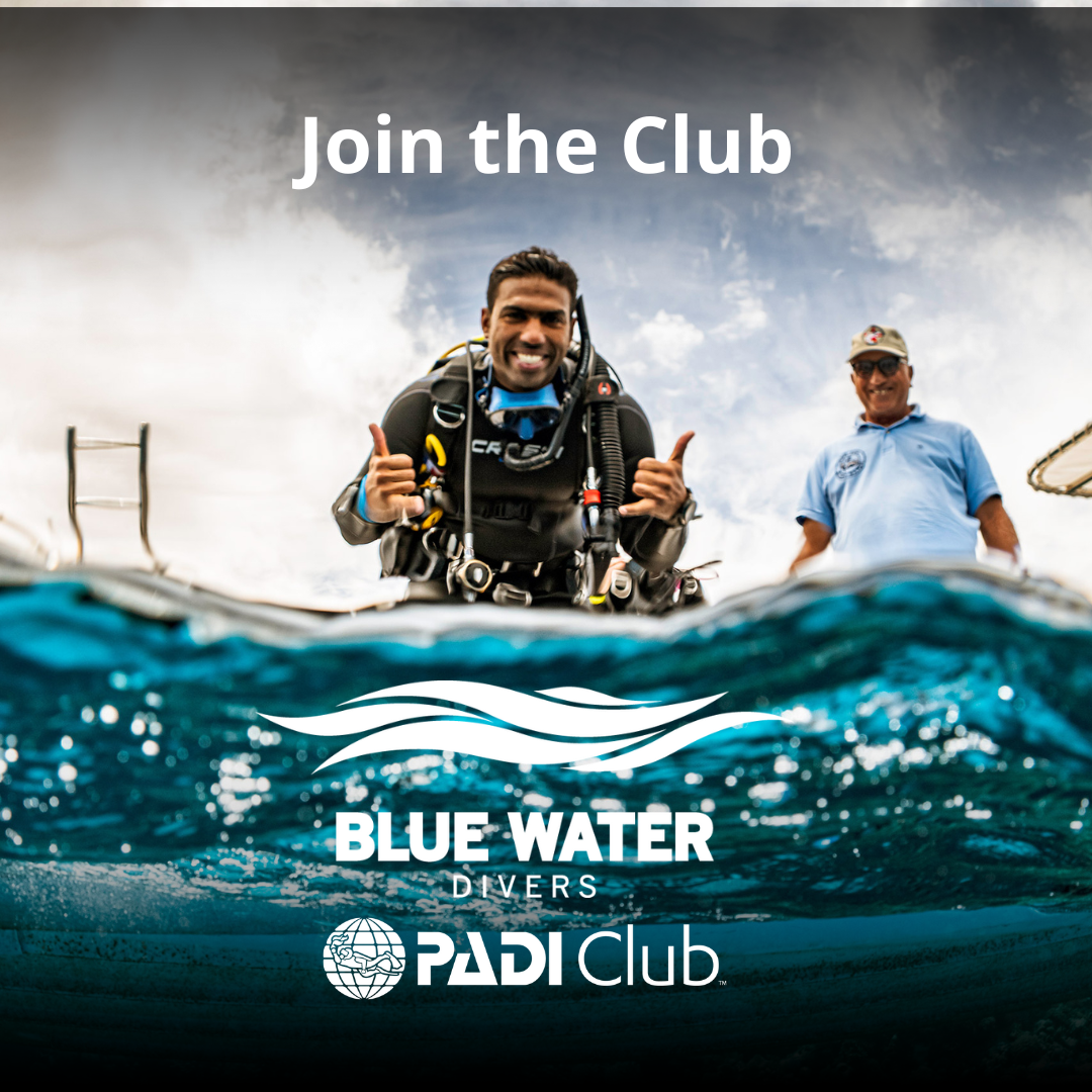 Padi Club Member