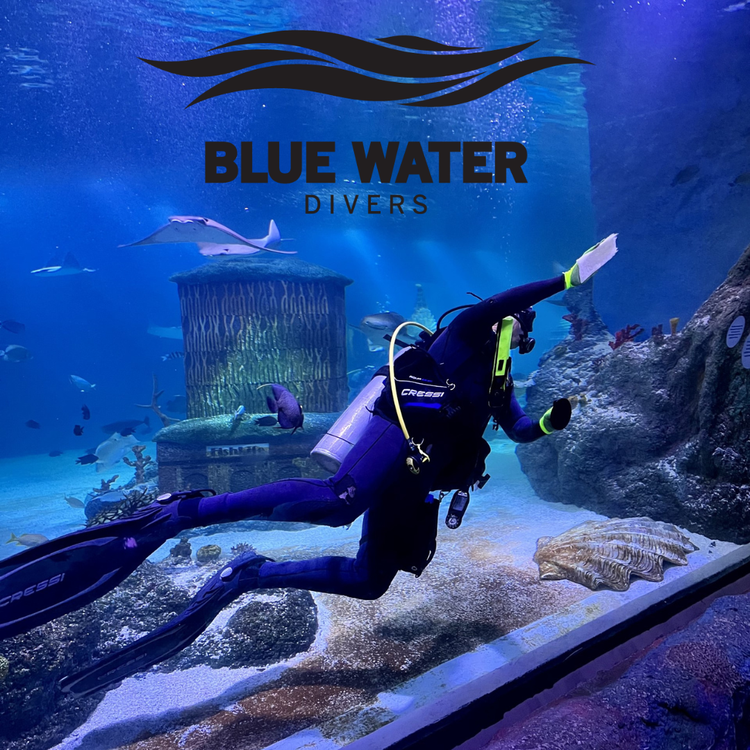 Sealife Diving 