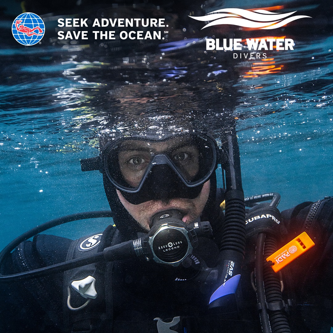 Diving Courses